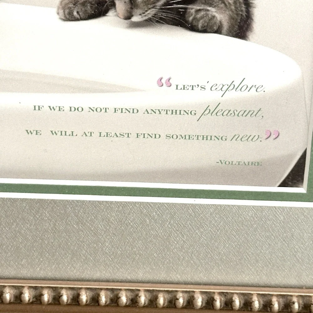 Let’s Explore…Find Something New Cat Print Kitty Voltaire Quote Framed Wall Art
